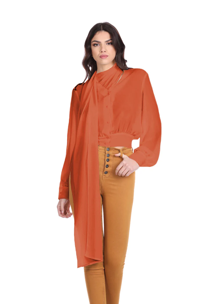 Camicia VRED manica lunga scollo v con foulard con punto smok - Image 3