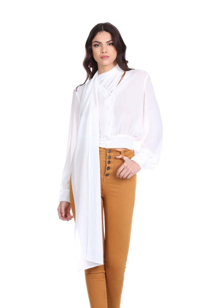 Camicia VRED manica lunga scollo v con foulard con punto smok - Image 4